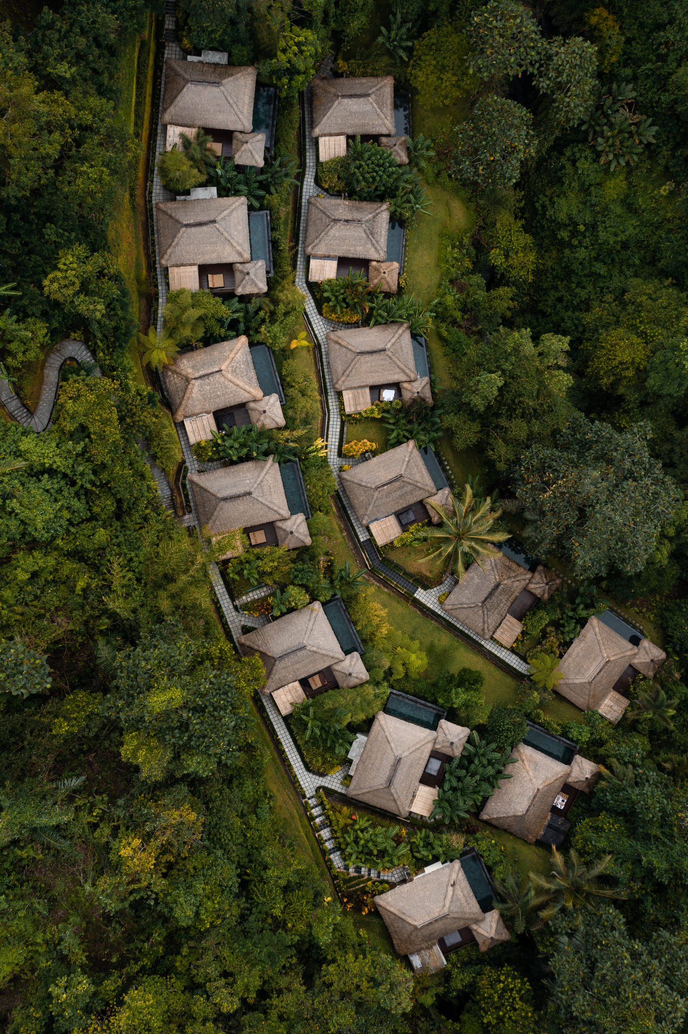 Rainforest Pool Bale