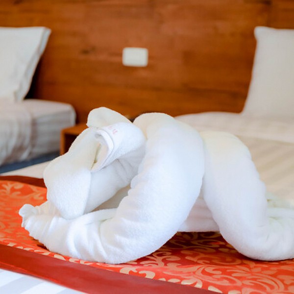 Deluxe Tripple Bedded Room