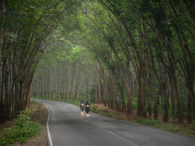 Ton Yang Tunnel