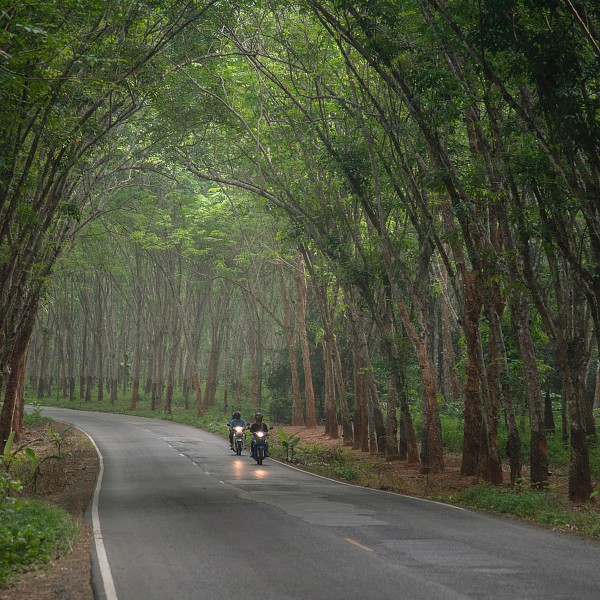 Ton Yang Tunnel