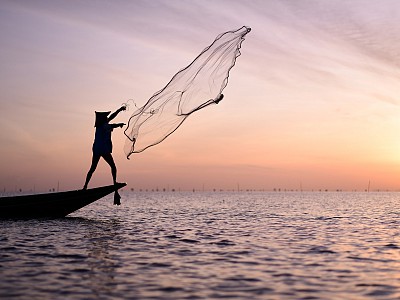 Tapi Estuary