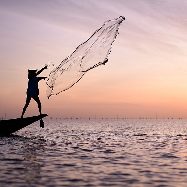 Tapi Estuary