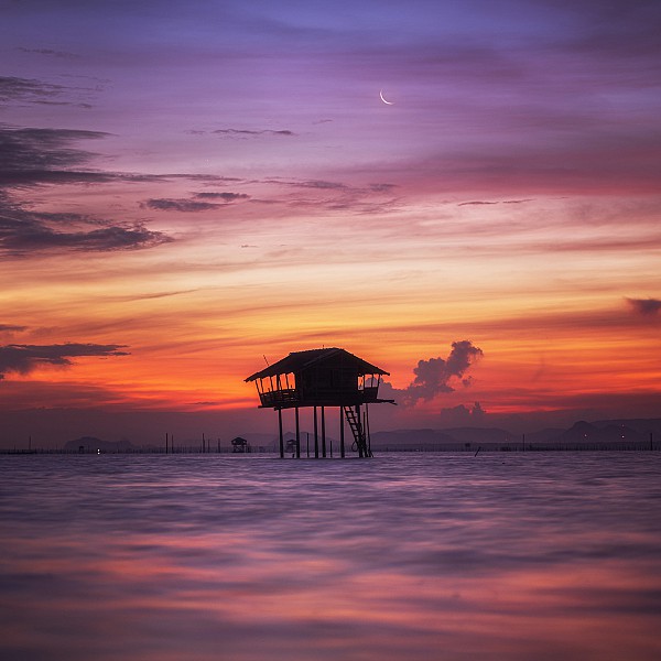 Tapi Estuary