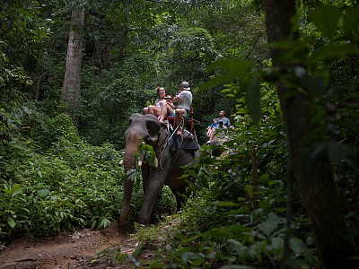 Khao Sok