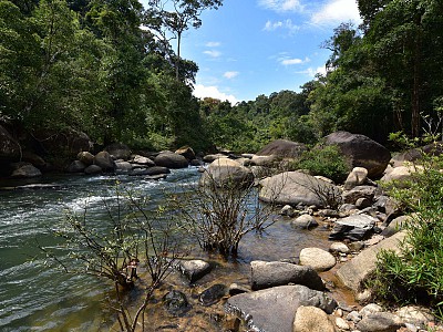 Khao Sok