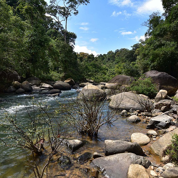 Khao Sok