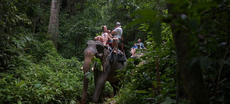 Khaosok National  Park