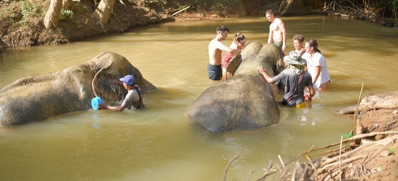 Khaosok National  Park