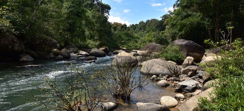 Khaosok National  Park