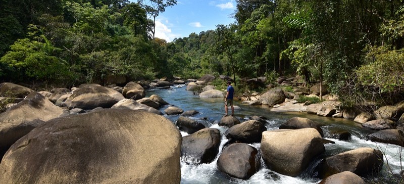 Khaosok National  Park