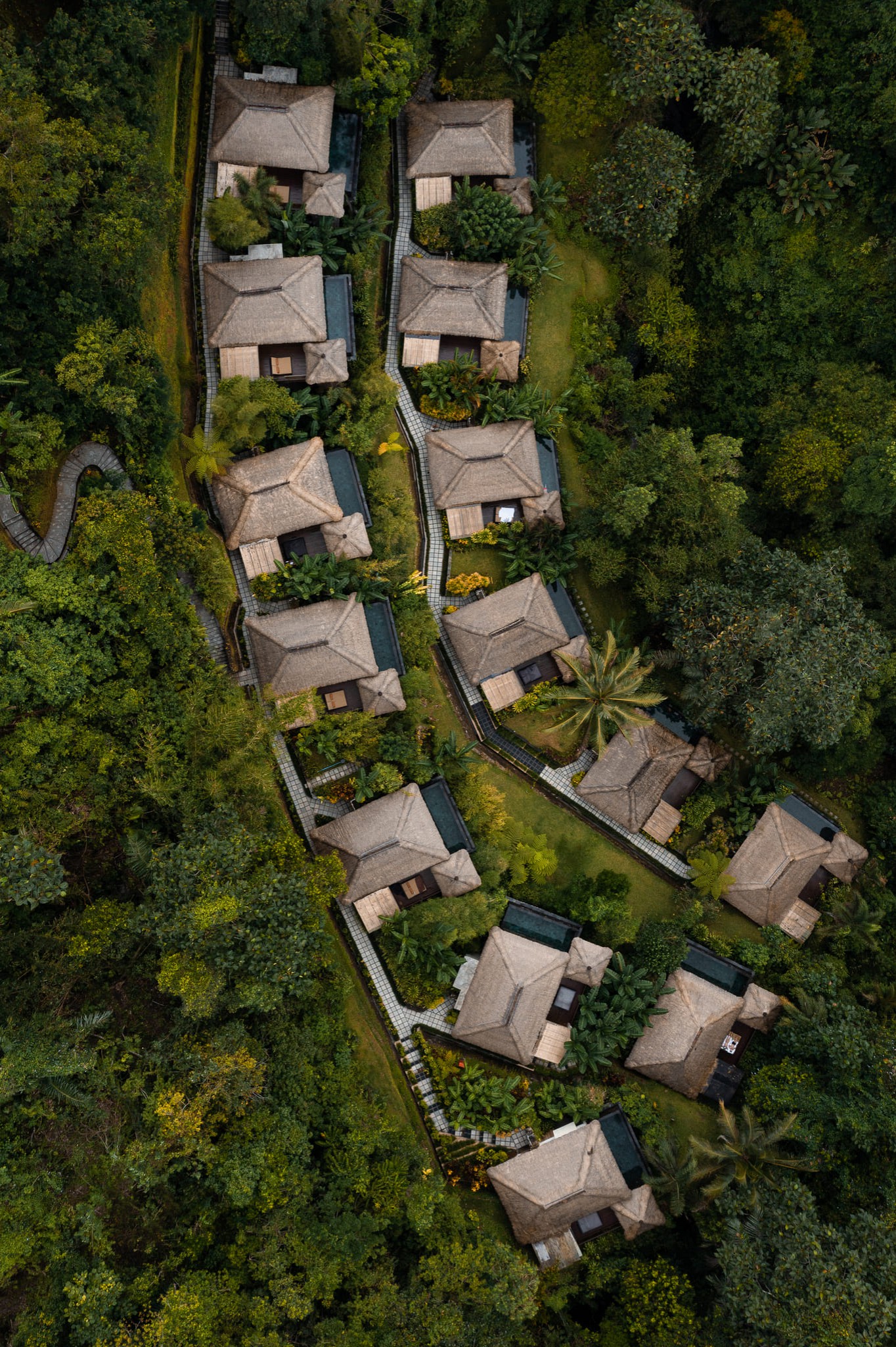 <label>An Invitation into a new</label>  way of being