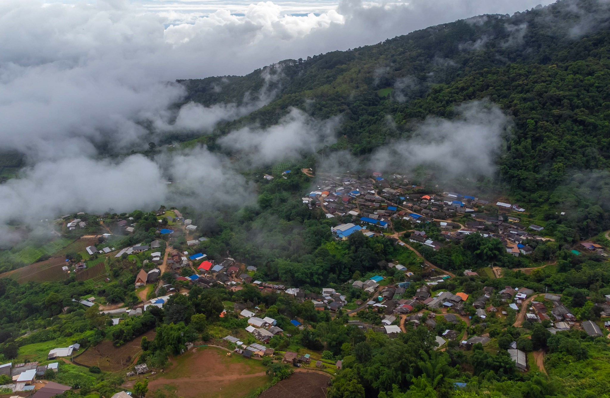 Overview